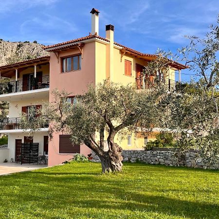 Ενtree Guest House Near Palamidi Castle Nafplio Ngoại thất bức ảnh
